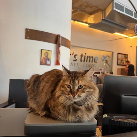 Appartement Ithaki Phinikoudes No. 204 *