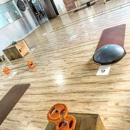 伊萨基菲尼库迪斯204号公寓 *