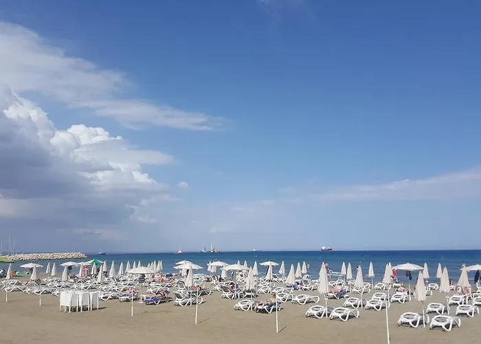 Ithaki Phinikoudes No. 204 * Larnaca