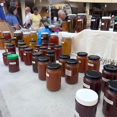 Ithaki Phinikoudes No. 204