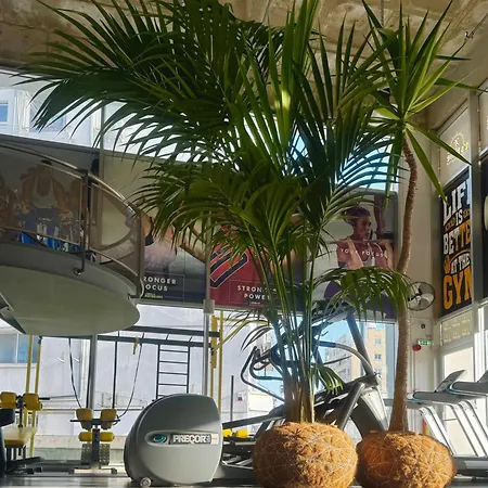 Ithaki Phinikoudes No. 204 Apartman *