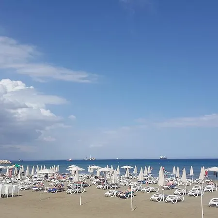 Ithaki Phinikoudes No. 204 * Larnaca