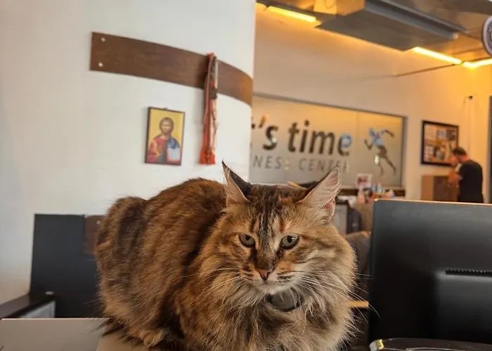 Lejlighed Ithaki Phinikoudes No. 204 *